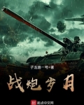 战炮岁月