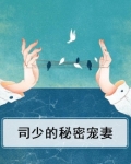 司少的秘密宠妻