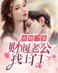 喜得二宝财阀老公免费阅读