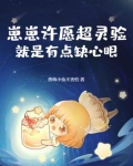 崽崽许愿超灵验,就是有点缺心眼免费阅读