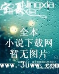 元素少年