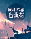 这白莲花女配我不当了小说