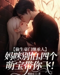 偷生宝宝前妻别玩了免费阅读全文