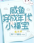 咸鱼穿成年代小福宝小说