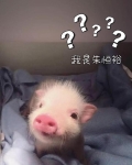 我是朱恒裕