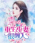 重生甜妻很缠人