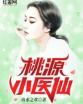 桃源小医仙梁小天