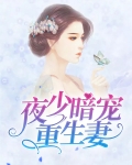 夜少暗宠重生妻