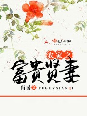 农家之富贵贤妻 小说