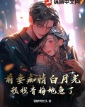 前妻追前夫小说