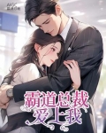 霸道总裁爱上我书名