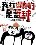 我打得真的是篮球鸟书网