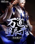 万星辰是谁