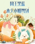 网王黑蓝：水火小姐驾到