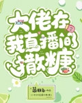 大佬在给我讲故事
