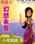 网游之幻想永夜