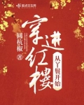 从红楼开始发家致富