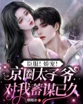 臣服娇宠京圈太子爷对我蓄谋已久
