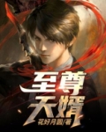 至尊天婿 小说