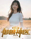 言情小说《乡村御医》(牛波)