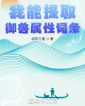 我能提取御兽属性词条