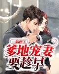 一胎二宝爹地宠妻要趁早