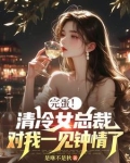 冷清总裁清冷妻
