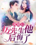 离婚后，厉先生他后悔了
