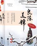 良陈美锦沉香灰烬晋江