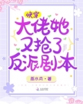 快穿:大佬她又抢了反派剧本 小说
