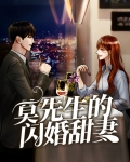 莫先生腻宠小娇妻