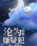 沦为嫌疑犯的我