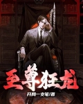 至尊狂龙14