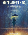 重生动作巨星:从好莱坞开始