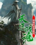 天选战婿