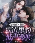暴雨夜，我被霸道黑豹低声诱哄！