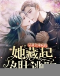 她藏起孕肚逃跑，总裁全球疯找