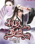 何以过情关 小说