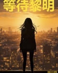 等待黎明歌曲