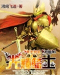 光辉骑士