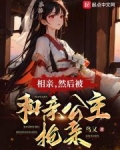 和亲公主遭抢亲