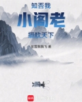 知否：我，小阁老，摄政天下