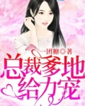 总裁爹地给力宠