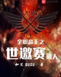 全职高手之世界邀请赛篇