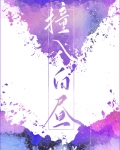 撞入白昼