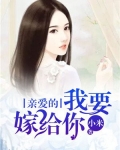 亲爱的我要嫁给你小说