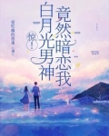 白月光男神是谁