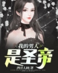 我的男人是圣帝免费阅读