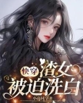 渣女快穿文推荐晋江
