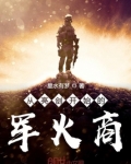 从亮剑开始的军火商歪打不留一